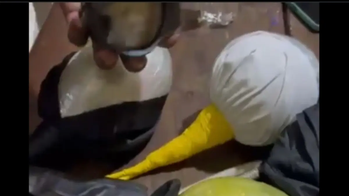 Con piedras y otros objetos, incautan vejigas modificadas impropiamente en el Carnaval de Constanza