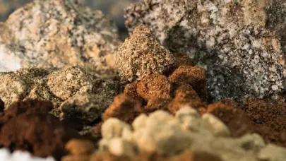 RD con la vista puesta en tierras raras en medio de la guerra comercial