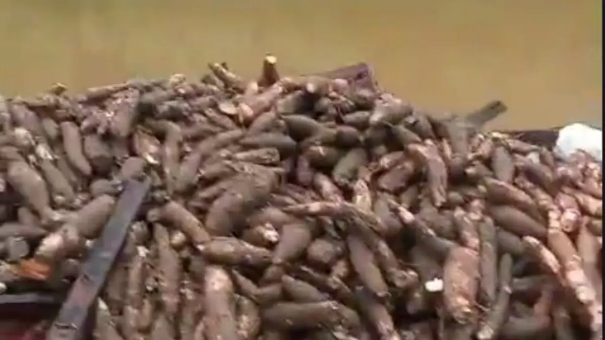 Camión cargado de yuca cae al río Ozama en Monte Plata al intentar subir puente