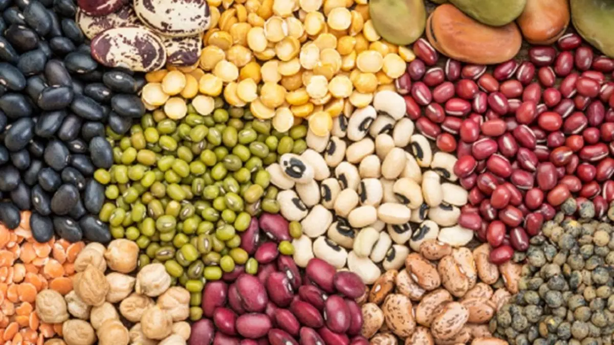 Día Mundial de las Legumbres: ¡Nutrición, sabor en cada bocado!