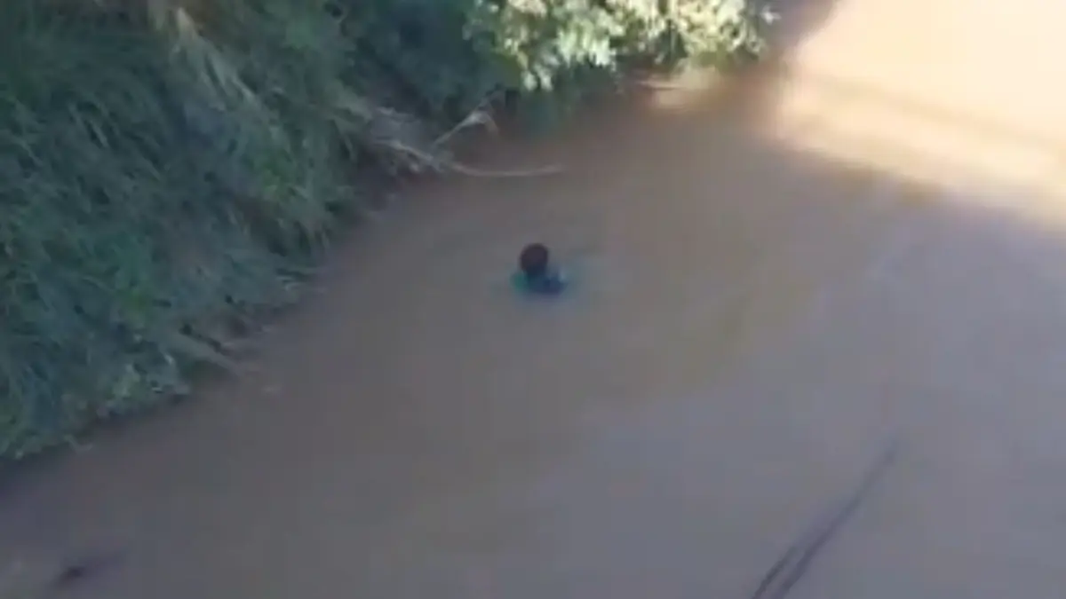Chofer de vehículo cargado de haitianos se tira a un canal para evitar ser detenido