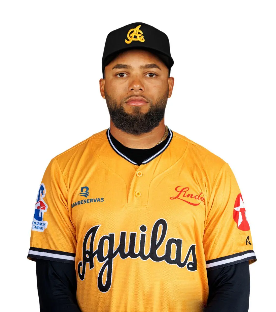Águilas adquieren a Berroa y Corniel desde los Leones
