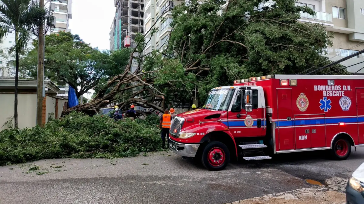 Autoridades trabajan para retirar árbol caído en calle El Retiro