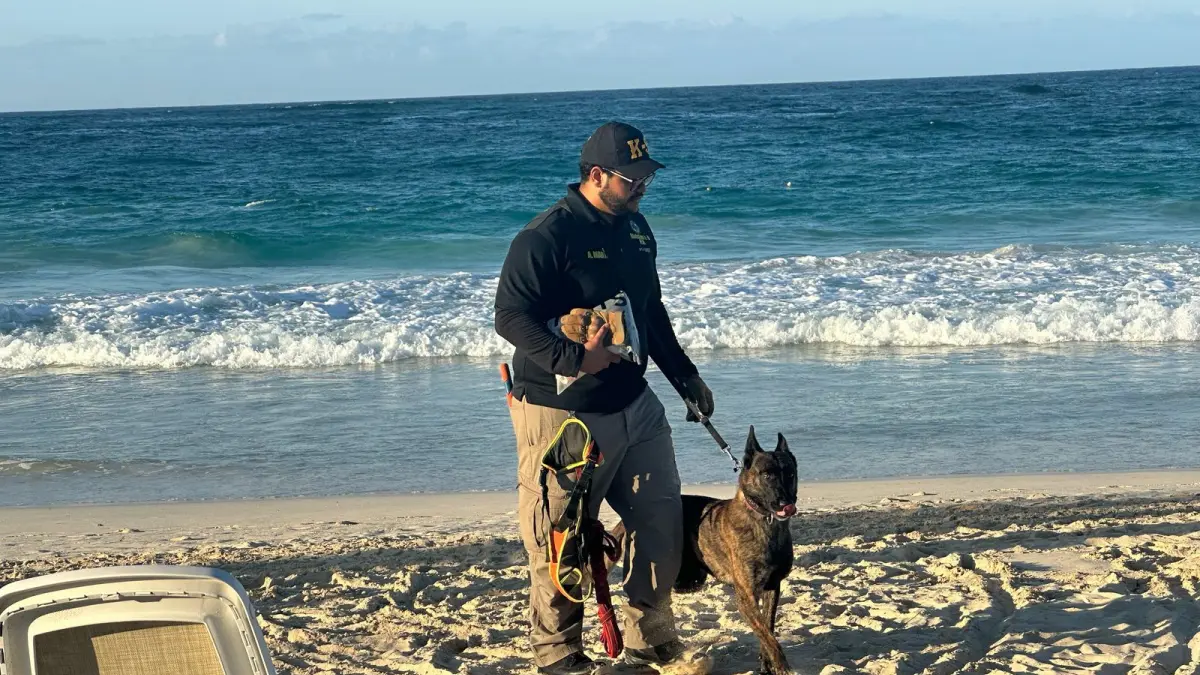 Sudiksha Konanki: imágenes de los esfuerzos de búsqueda y rescate de RD