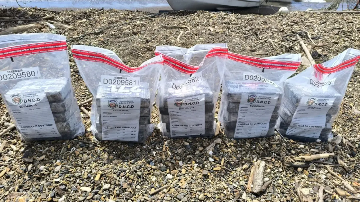 Ocupan 25 paquetes de cocaína en La Altagracia; activan búsqueda de varios hombres