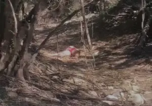 Encuentran sin vida mujer reportada desaparecida