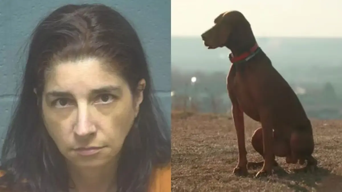 Mujer es acusada de abusar sexualmente de un perro