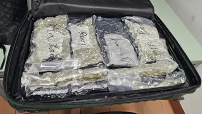 Arrestan extranjero e incautan 32 paquetes de marihuana en aeropuerto Gregorio Luperón