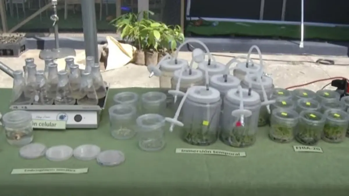 Con innovación tecnológica y sostenibilidad impulsan el futuro del campo en la Feria Agropecuaria 2025