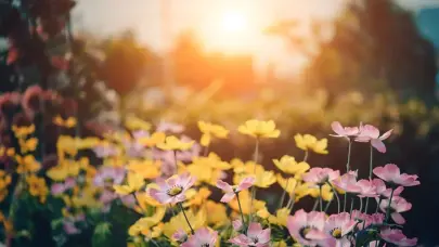 Inicia la primavera con buen tiempo meteorológico, dice Indomet