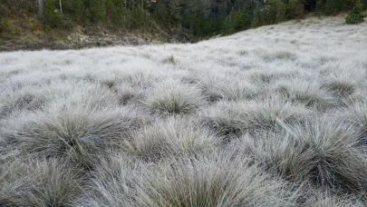 Valle Nuevo en Constanza sigue con temperaturas bajo 0