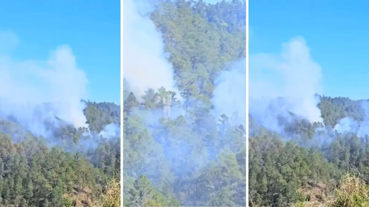 Bomberos forestales combaten incendio en Constanza; densa humareda afecta a residentes