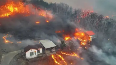 Ascienden a 18 los muertos en los incendios forestales del sudeste de Corea del Sur