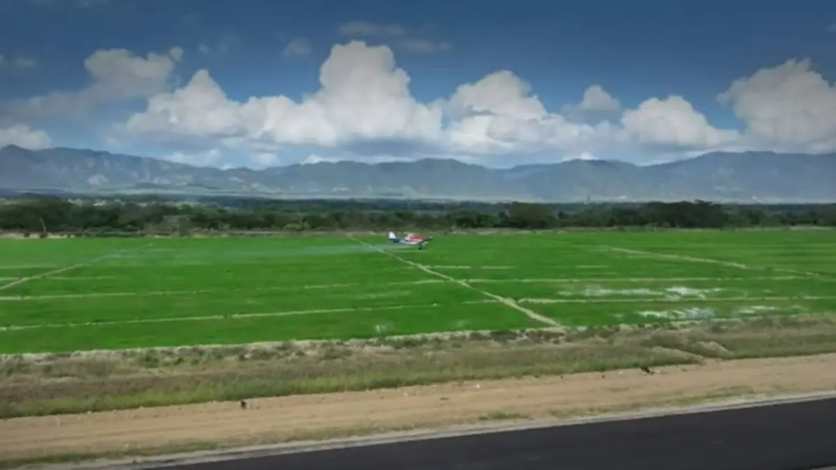 Intoxicaciones por fumigación en SFM: El dilema entre producción agrícola y salud escolar