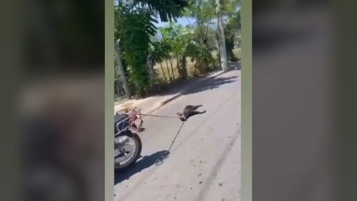 “Me va a matar un ganso”: hombre arrastra a perro atado a motocicleta