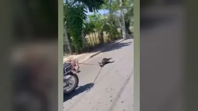 “Me va a matar un ganso”: hombre arrastra a perro atado a motocicleta 