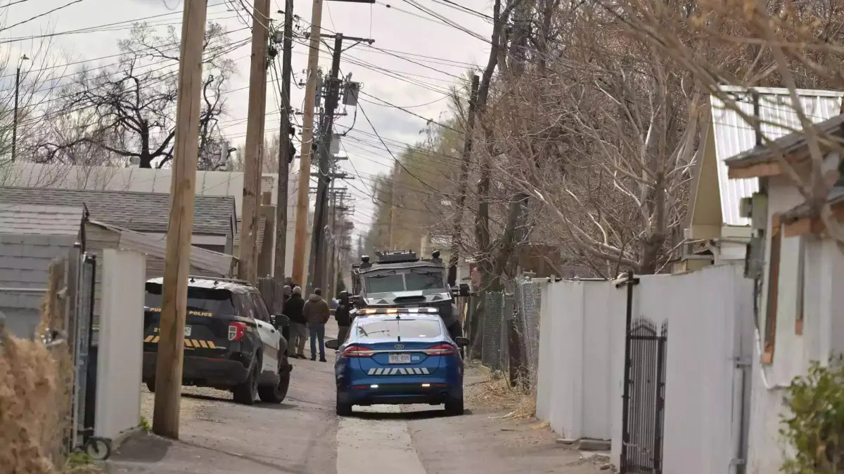 Docenas de perros atacan a una madre con demencia en su hogar tras ser abandonada por su hija