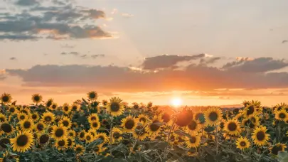 Ambiente soleado en gran parte del país con pocas precipitaciones, dice Indomet