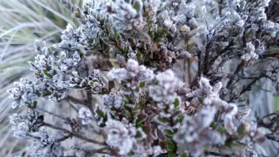 Así amaneció Valle Nuevo: Con temperaturas bajo cero