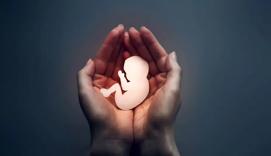 Feministas y religiosos enfrentados por tres causales