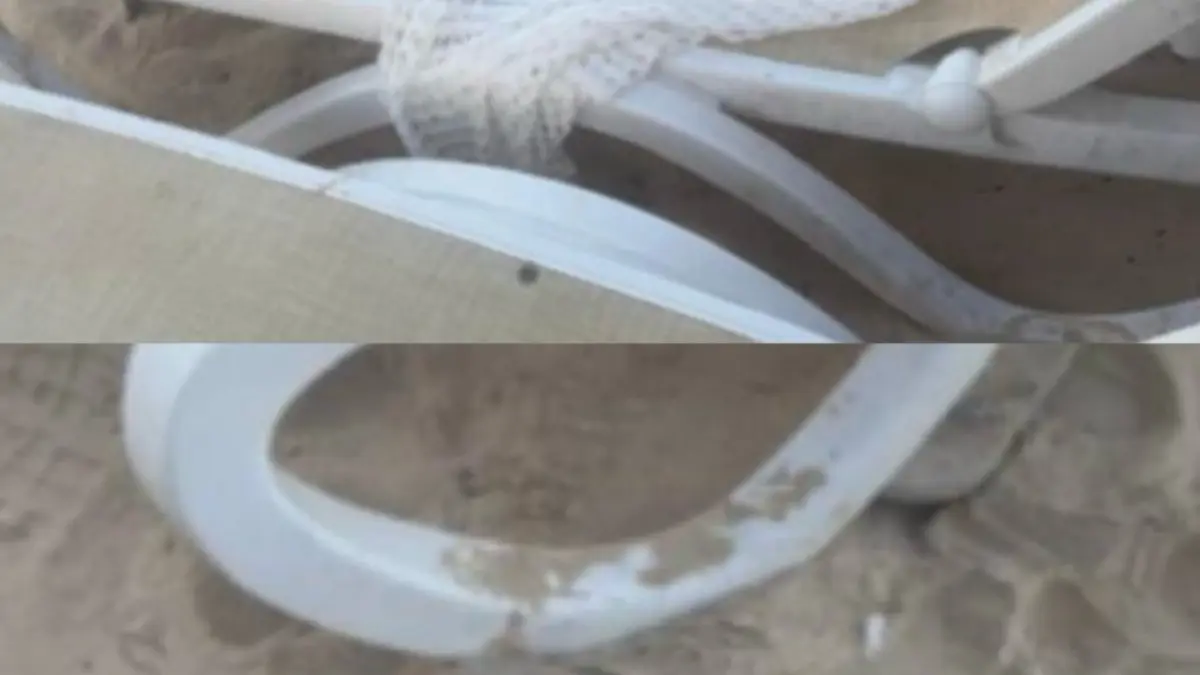 Circulan imágenes de la ropa de Sudiksha Konanki con las que fue vista por última vez