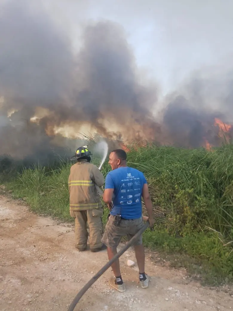 Se registra incendio forestal en la comunidad La Barbacoa de Las Terrenas