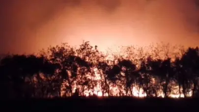 Bomberos en alerta: incendio en San Pedro amenaza tuberías de gas y combustible