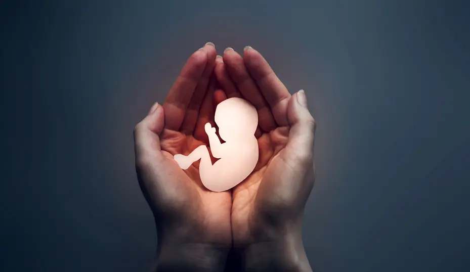 Una mujer que aborte sin ningún tipo de causal enfrentaría de 5 a 10 años de prisión, según anteproyecto del Código Penal