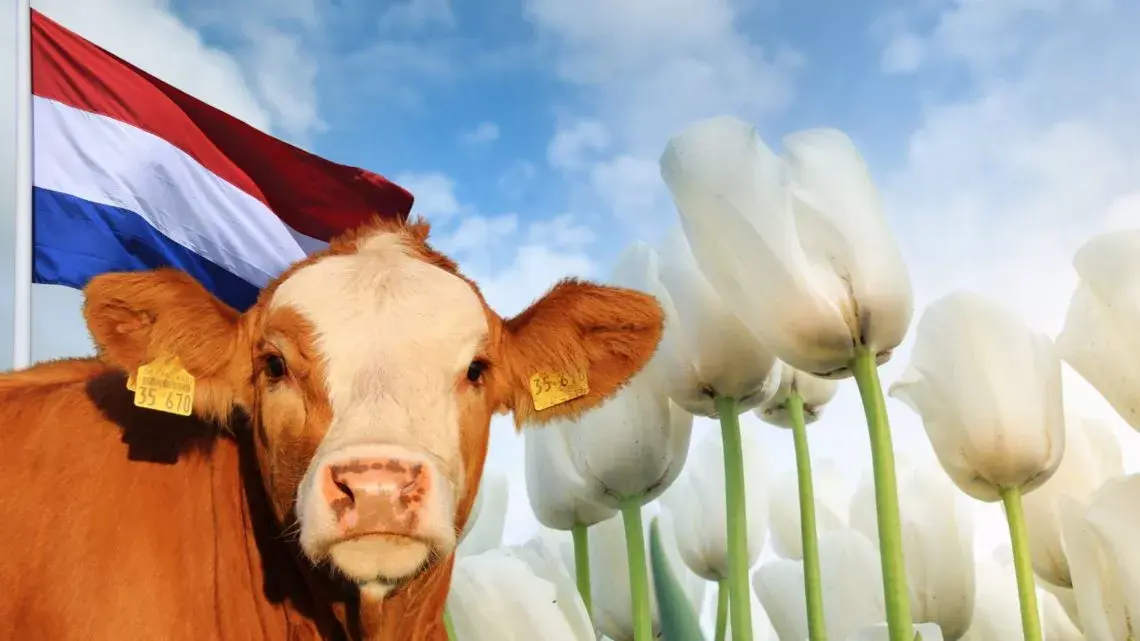Países Bajos destina 2.200 millones de euros para reducir emisiones de nitrógeno en el sector agrícola