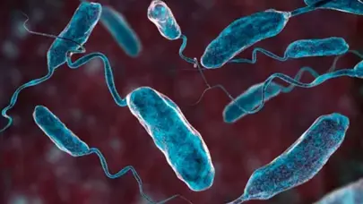 La OMS alerta sobre un aumento del 50 % en los casos y muertes globales por cólera