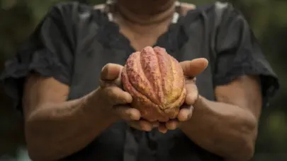 Cacao dominicano impulsa crecimiento exportaciones hacia Espa&ntilde;a en 2024