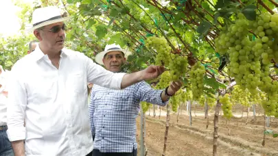 RD despacha primer contenedor de uvas de mesa hacia Estados Unidos