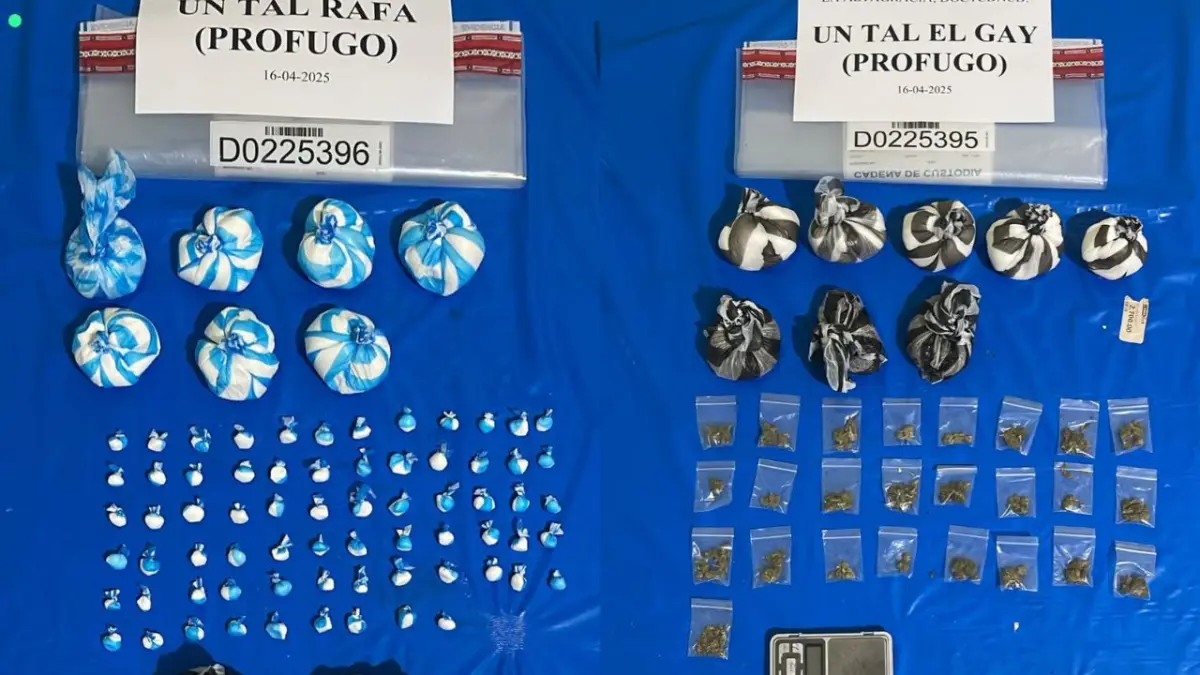 Confiscan más de medio millón de gramos de drogas, armas y vehículos en 215 allanamientos