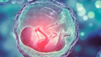 Intercambio de bebés en Australia: descubren confusión de embriones en clínica de fertilidad