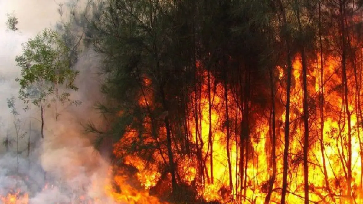 Cuba intenta controlar incendio forestal de grandes proporciones en el oeste de la isla