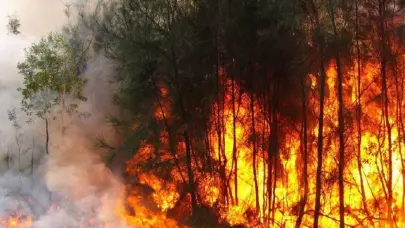 Cuba intenta controlar incendio forestal de grandes proporciones en el oeste de la isla