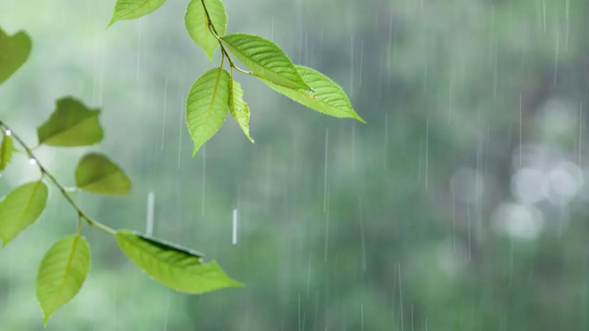 Aguaceros continuarán; avisos y alertas vigentes