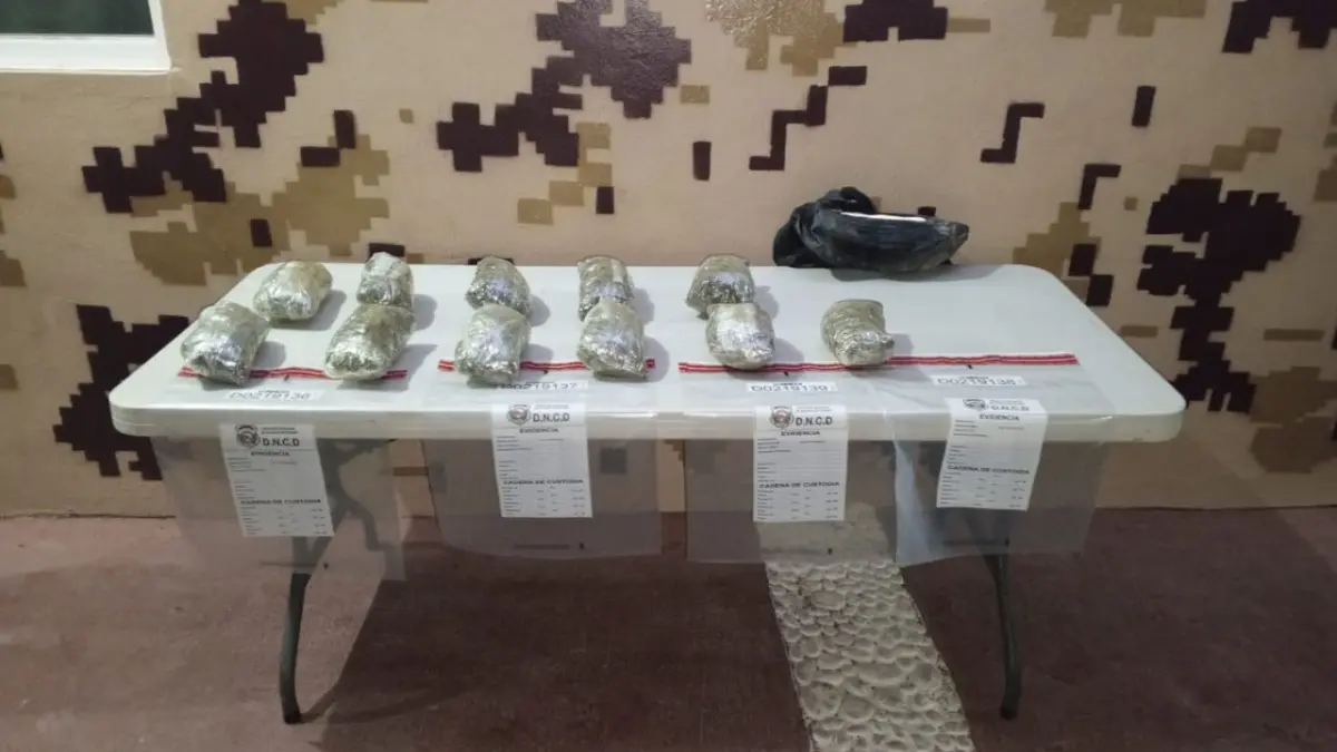 Decomisan 11 pacas de presumible marihuana en Pedernales