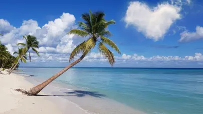 COE extiende horario en playas y balnearios hasta las 7:00 de la noche este fin de semana