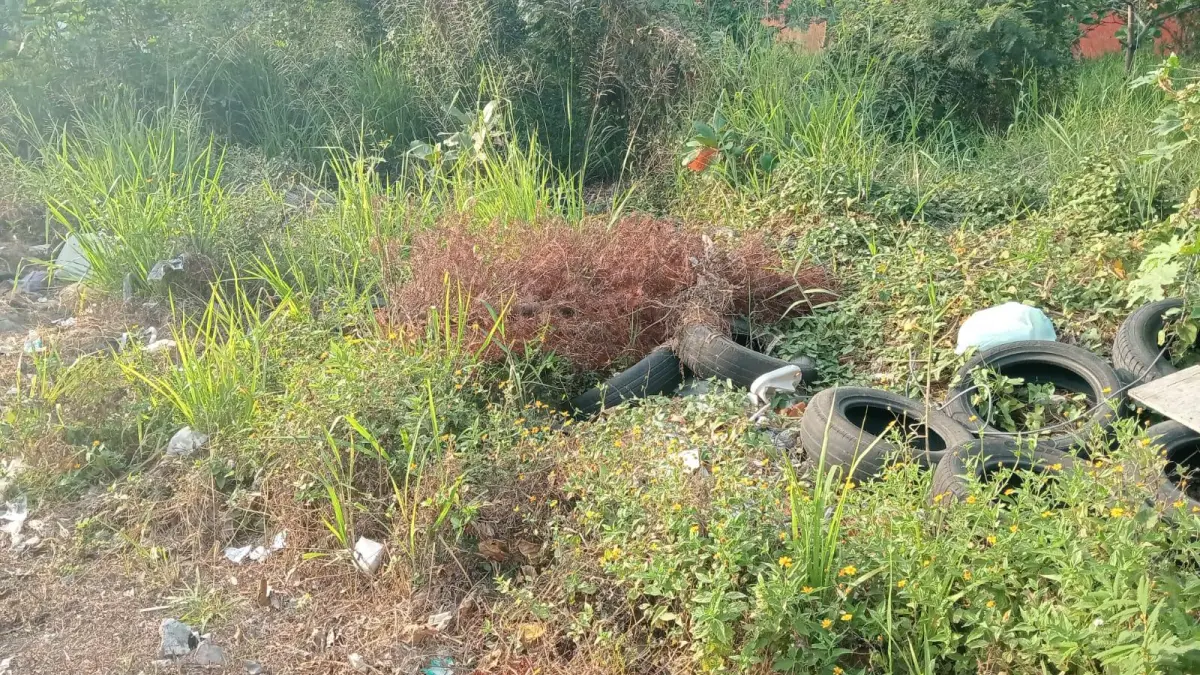 Hallan varios fetos en solar baldío de Villa Liberación, Santo Domingo Este