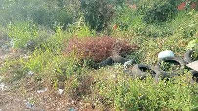 Hallan varios fetos en solar baldío de Villa Liberación, Santo Domingo Este