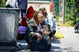 Terremoto de magnitud 6,2 en el mar de Marmara sacude Estambul y varias provincias de Turquía