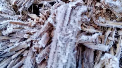 Valle Nuevo registra temperaturas bajo 0 en primavera