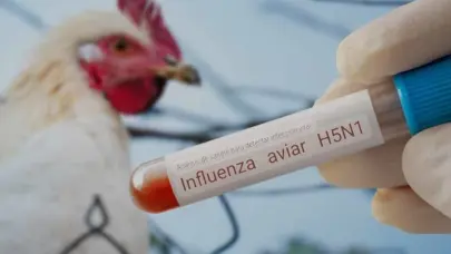 México confirma un primer caso humano de gripe aviar