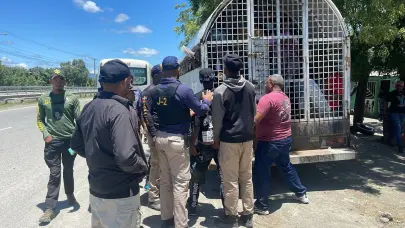 DGM detiene a 1,129 haitianos en condici&oacute;n irregular y deporta otros 838