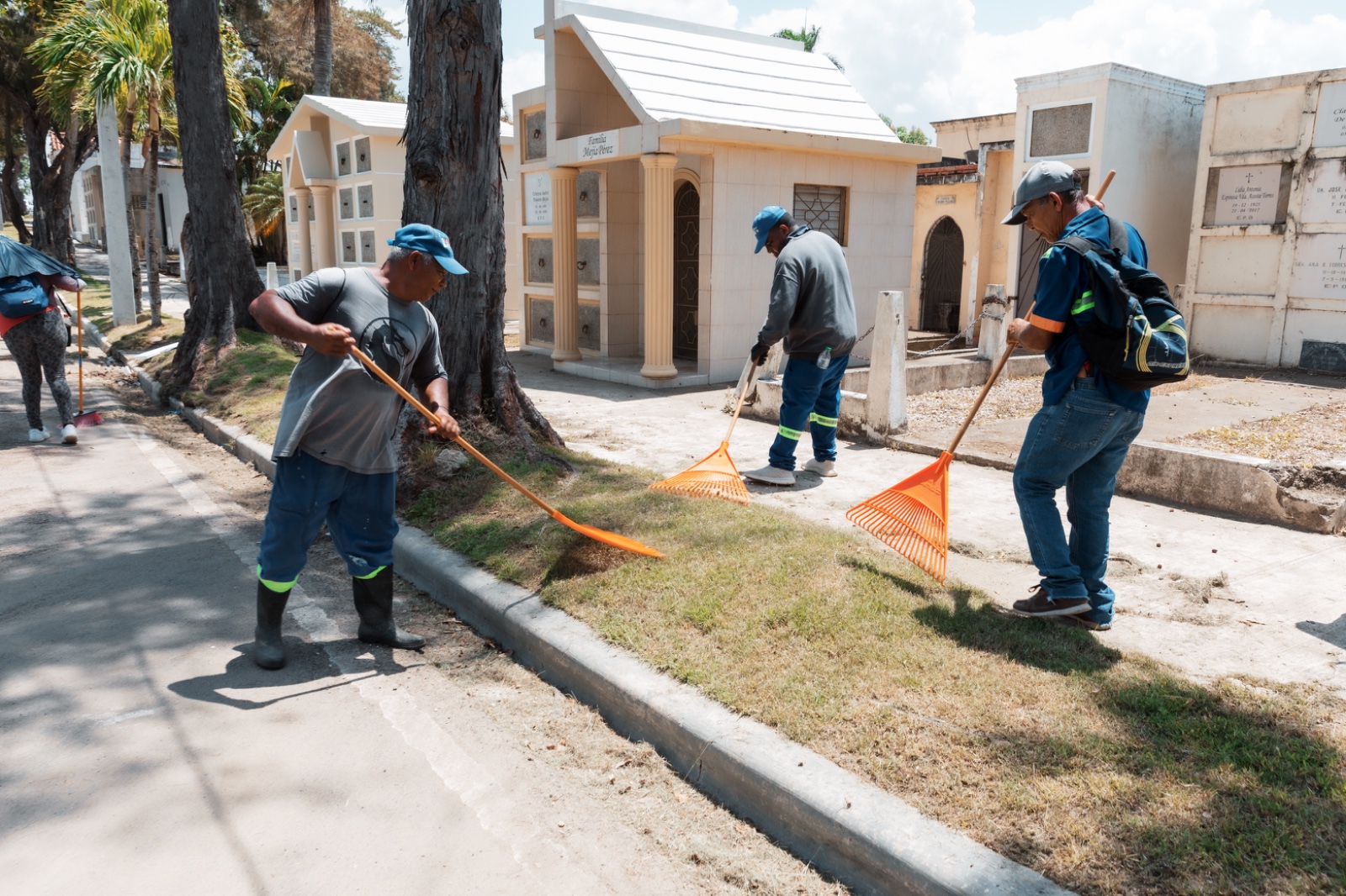 Trabajadores limpiando un cementerio con rastrillos naranjas