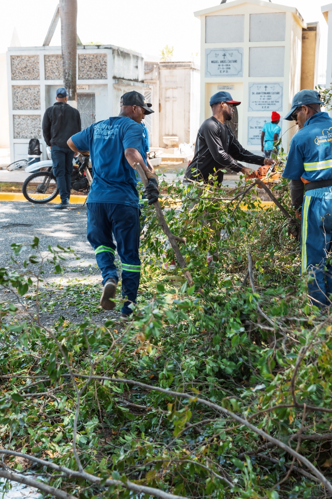 Jardineros limpiando ramas en un cementerio