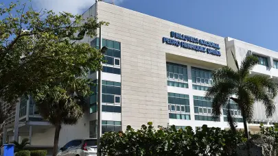 Apagón en la Biblioteca Nacional se debió a contacto de un ave con las líneas eléctricas, dice Edeeste