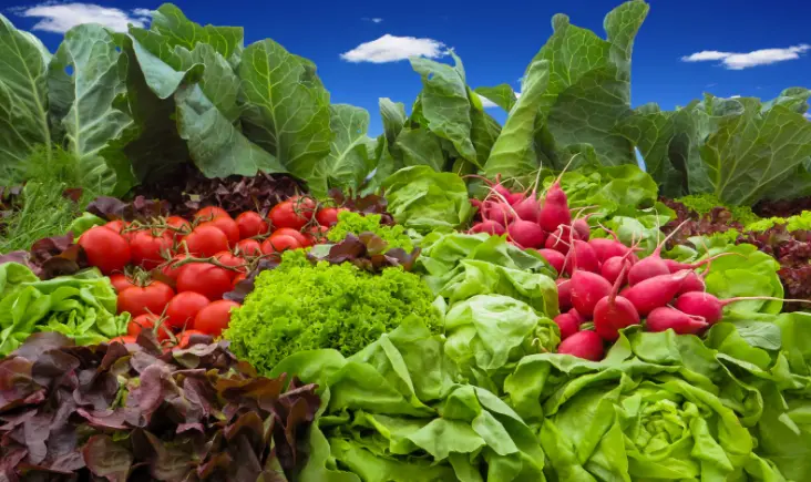 Inespre realizará dos ferias dedicadas a las madres en Santo Domingo Este y Oeste