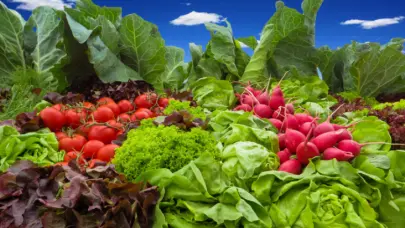 Inespre realizar&aacute; dos ferias dedicadas a las madres en Santo Domingo Este y Oeste